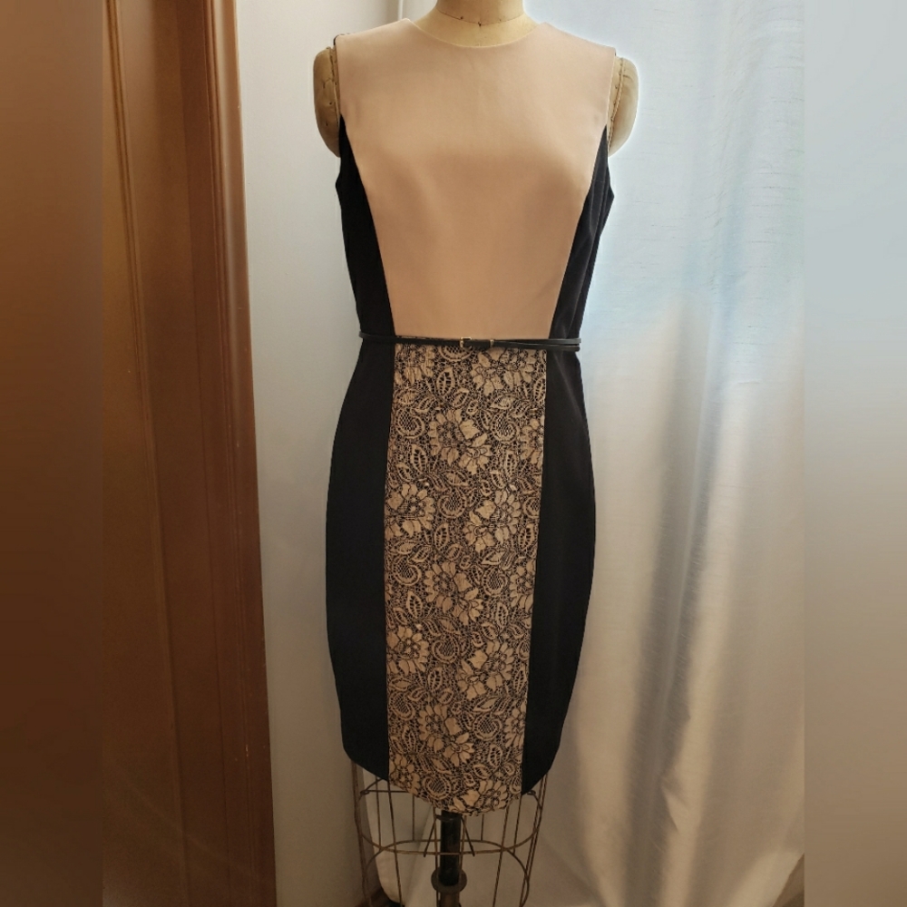 Calvin Klein Beige and Black Lace Panel Dress